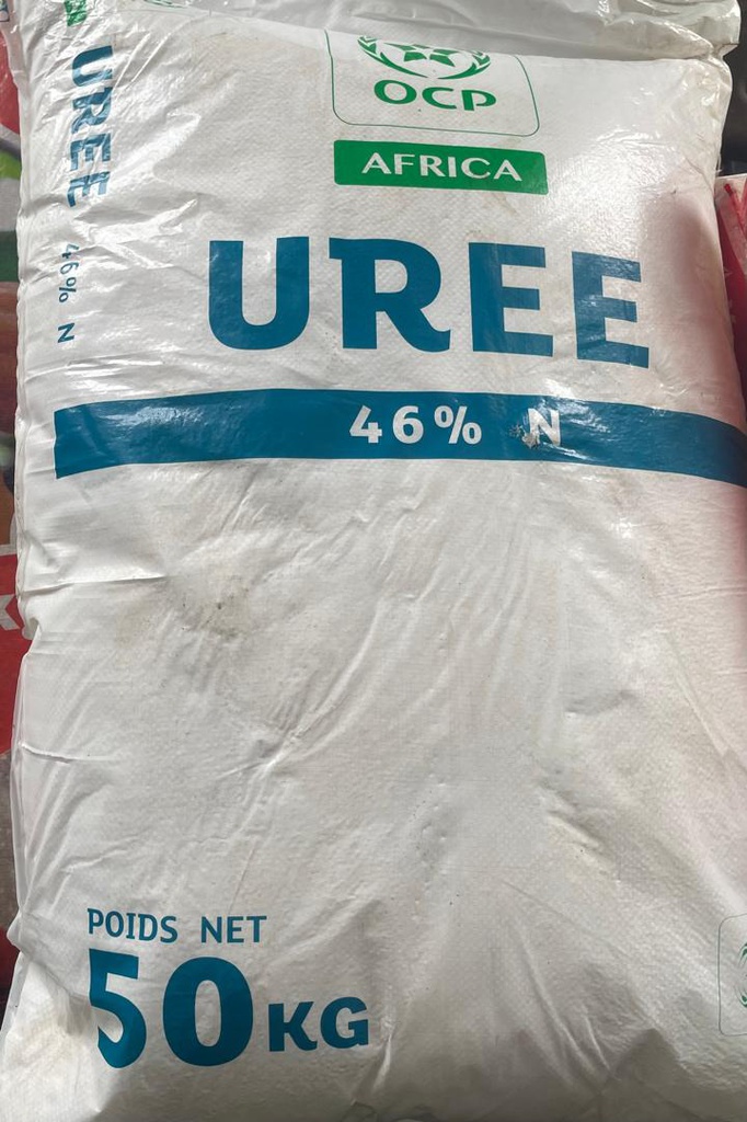 UREE 46% N OCP 50KG